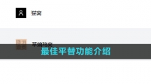 《最佳平替》功能介绍 《最佳平替》功能介绍