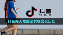 《抖音》先天龙图圣女梗含义出处介绍