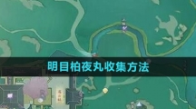 《射雕手游》明目柏夜丸收集方法