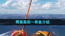 《欢乐钓鱼大师》图鉴最后一条鱼介绍