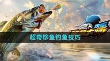 《欢乐钓鱼大师》超奇珍鱼钓鱼技巧