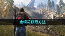 《七日世界》金银花获取方法