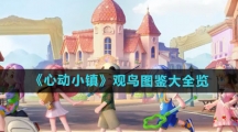 《心动小镇》观鸟图鉴大全