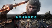 《黑神话悟空》胆中珠获取方法