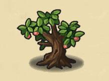 《不思议迷宫》狩猎大赛迷宫彩蛋一览