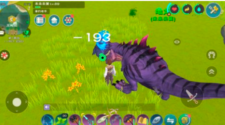 《创造与魔法》天空果实刷新位置一览