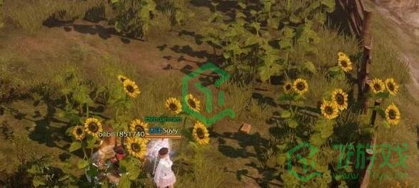 《命运方舟国服》属性卡获得方法