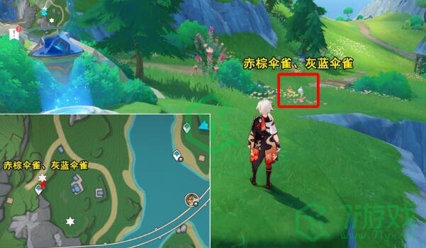 《原神》光影研学旖旎水界第四天攻略