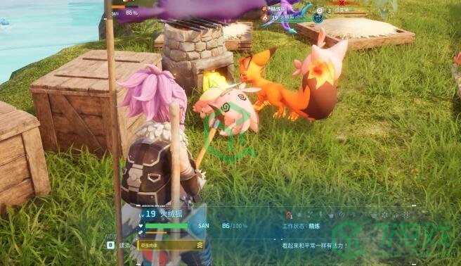 《幻兽帕鲁》属性器官材料刷取方法