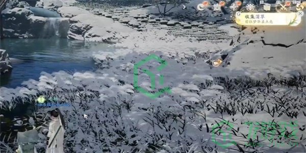 《射雕手游》蒲草收集方法