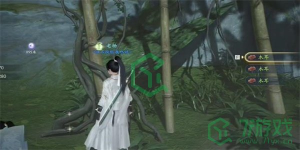 《射雕手游》五鼎芝收集方法