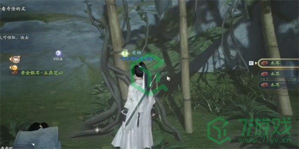 《射雕手游》五鼎芝收集方法