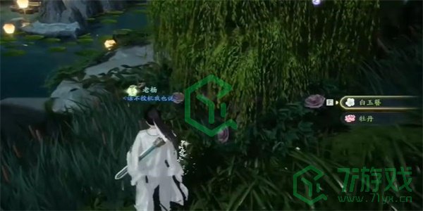 《射雕手游》白玉簪收集方法