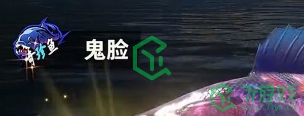 《欢乐钓鱼大师》稀有鱼有介绍