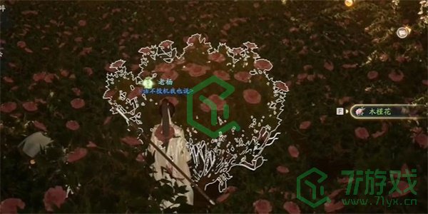 《射雕手游》木槿花收集方法