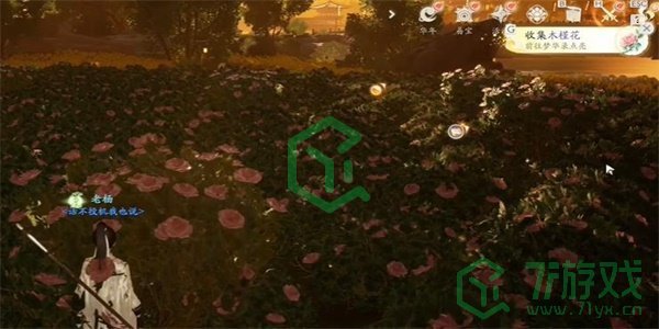 《射雕手游》木槿花收集方法