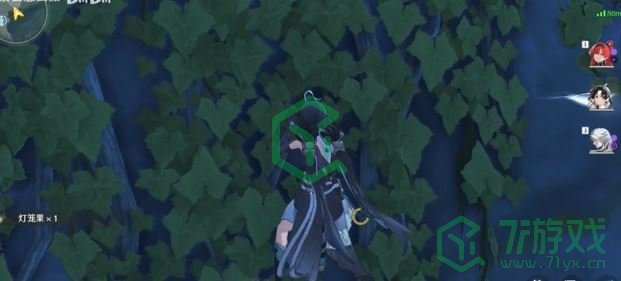 《鸣潮》灯笼果采集路线一览