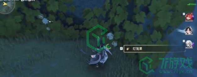 《鸣潮》灯笼果采集路线一览